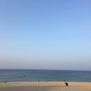 강정목장 이미지