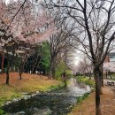 경북약국 이미지