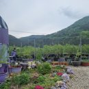 김호중농장 이미지