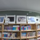 꿈의숲약국 이미지