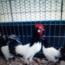 수남농장 이미지