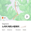 유주막로 | 2025 산티니 충주 그린폰도 완주 후기