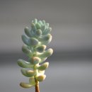 송정하우스 이미지