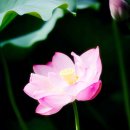 아이들치과의원 이미지