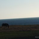 신천목장 이미지