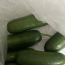 구름농장 이미지