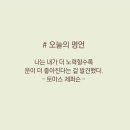 노력과행운