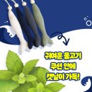 심플마트 - 구미시 | 심플마트