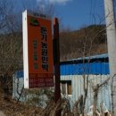 둔사 Daum카페