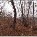 가마고개 이미지