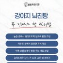 석적동물병원 이미지