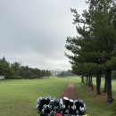 대구) K2 체력단력장 _ 6월 초 좋은 컨디션의 공군 골프장