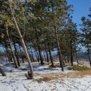 SK엔크린 SK강변주유소 이미지