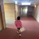 더함 | 소노벨 천안 더함 조식뷔페 이용후기(내돈내산)