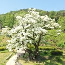 진영카써비스 이미지