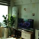 안양여중고_하 이미지