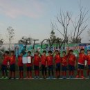 을숙도 미니축구장 이미지