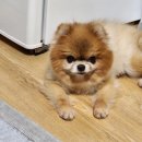 예천장례식장