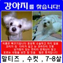 영광교회 이미지