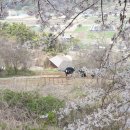 (상반기) 건강체조 | 마산요양원 가족같은 느낌이 인상적이었던 하남요양원