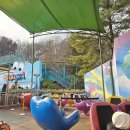 팡팡게임월드 | 겨울 에버랜드 눈치게임 성공후기 (키 100센치 놀이기구)/ 사파리, 로스트밸리