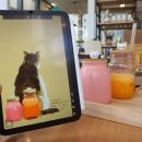 일상드로잉(초급) 이미지