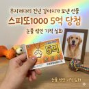 복권판매점(무지개점) | 무지개다리 건넌 강아지가 보낸 선물? 스피또1000 5억 당첨자의 눈물 섞인 기적 실화
