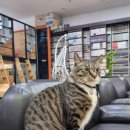 쉴북만화카페 이미지