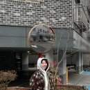 행운세탁빨래방 | [전세사기] #12 LH 전세사기피해자 긴급주거지원 / 전피자 전형?이요... 대학가세요 ?