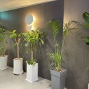 서울쟁반짜장 이미지