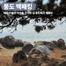 (주)씨투테이블 | 솔로지옥5 촬영지 풍도, 자연을 만끽할 수 있는 섬으로 백패킹
