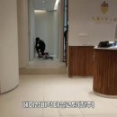 송탄드림약국 이미지