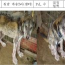 마송2리 Daum카페