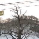 금산-13 이미지