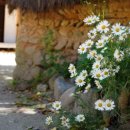 불암고등학교 이미지