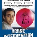 레몬트리 이미지