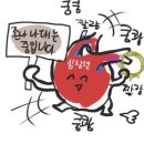 림앤도기살롱 이미지