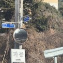 여수 돌산읍) 애견 동반 가능 대형카페 피읖카페