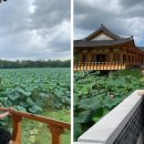 요즘 핫플로 뜨고 있는 전주 가볼만한 곳 BEST 7 (숨은명소, 여행코스) 이미지