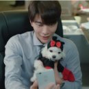 뷰티 앤 독 이미지