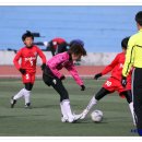 포곡-12 Daum카페