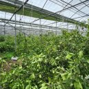 남진농장 이미지