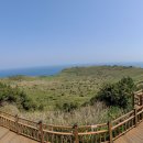 한국장루장애인협회 이미지