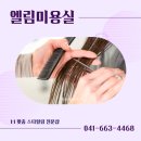 엘림미용실 네이버블로그
