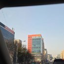 하프 | 대전 복부다이어트방법 마운자로하려다 하프컷 후기 일주일 -2.2kg 감량