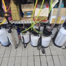 BG카케어 이미지