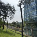 갤러리K스타공인중개사사무소 이미지