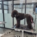 루이앤코코 이미지