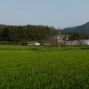 반가반가 이미지