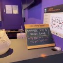 보라보라 코인노래연습장 이미지